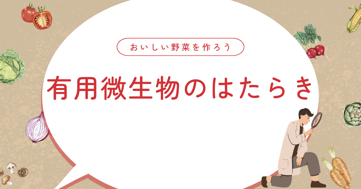 有用微生物のはたらき – 株式会社五光