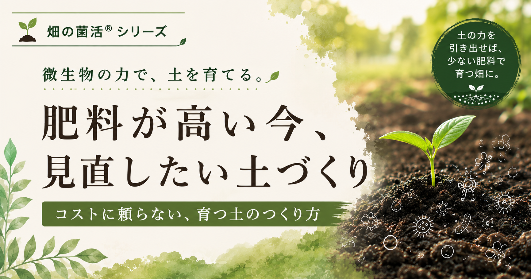 肥料が高い今見直したい土づくりを畑の菌活の考え方で解説する株式会社五光のブログ記事