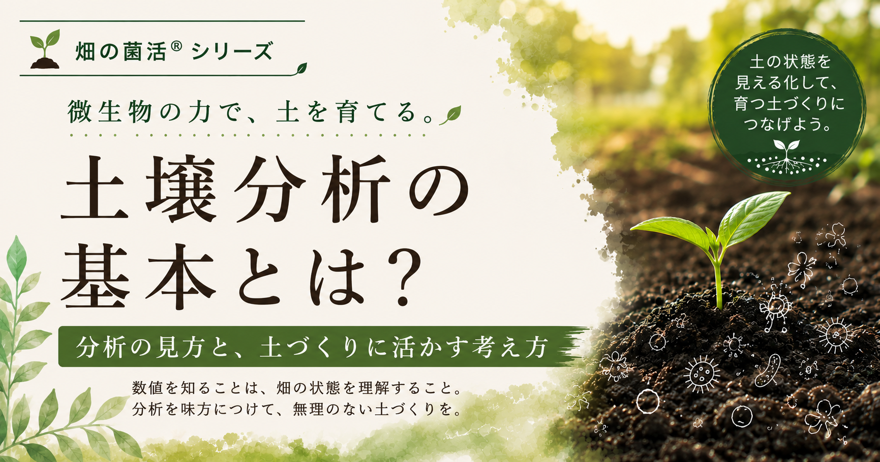 土壌分析の基本と土づくりへの活かし方を畑の菌活の考え方で解説する株式会社五光のブログ記事