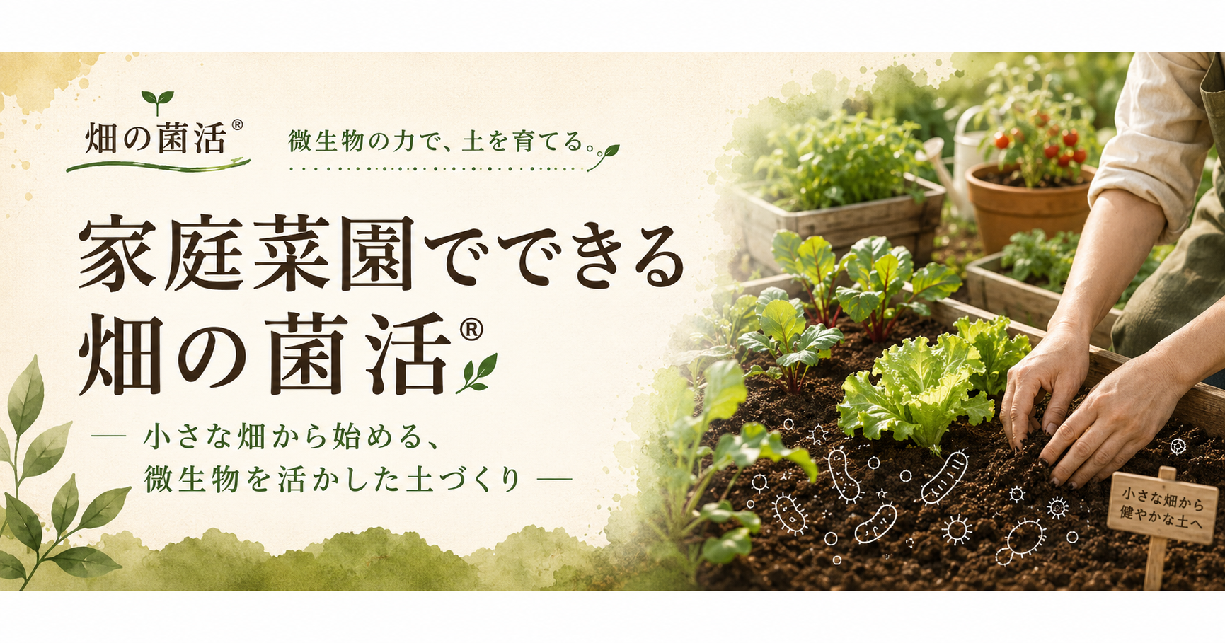 家庭菜園でできる畑の菌活を株式会社五光の土づくりの考え方で解説するブログ記事