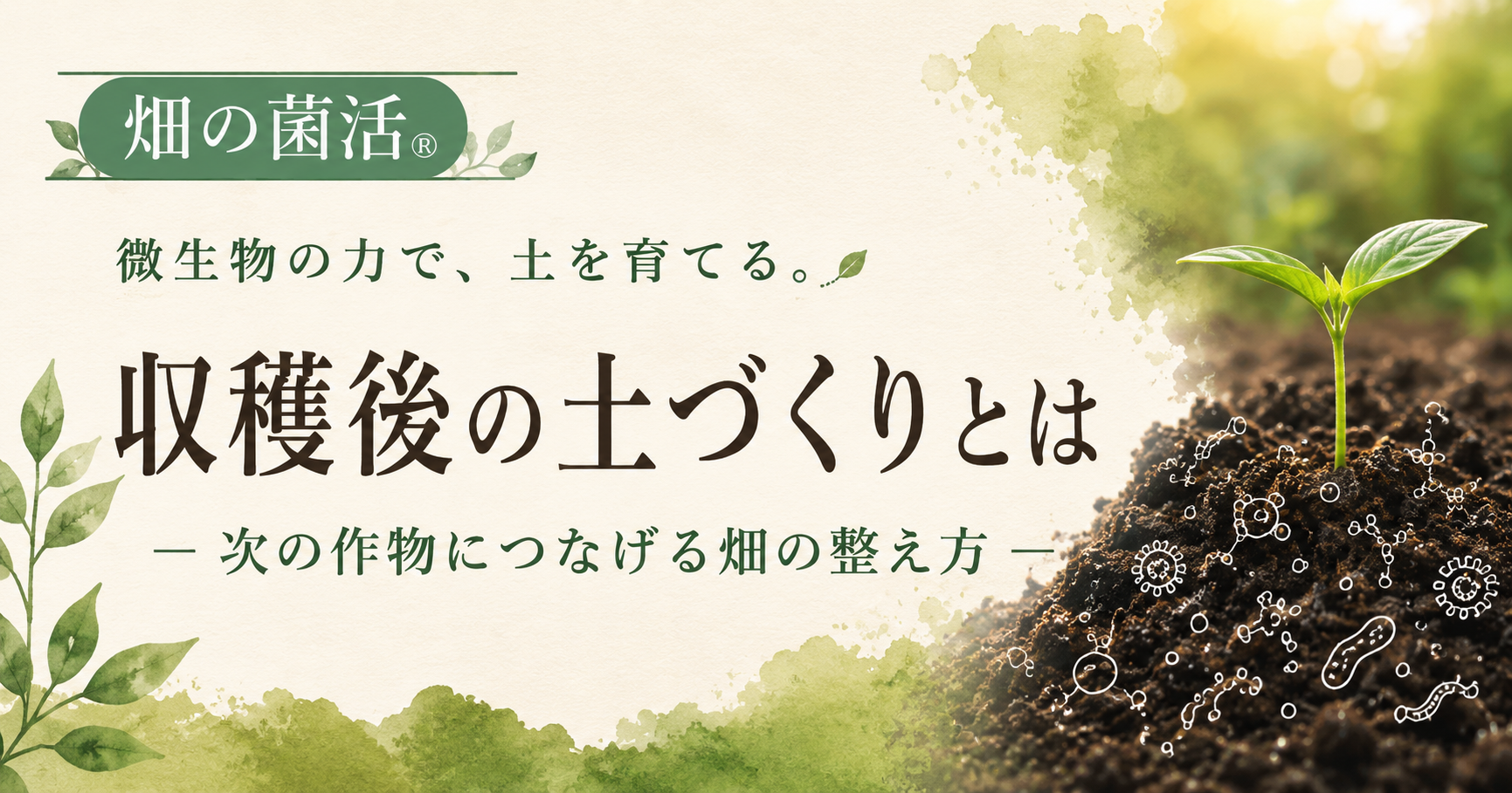 収穫後の土づくりとは何かを畑の菌活の考え方で解説する株式会社五光のブログ記事