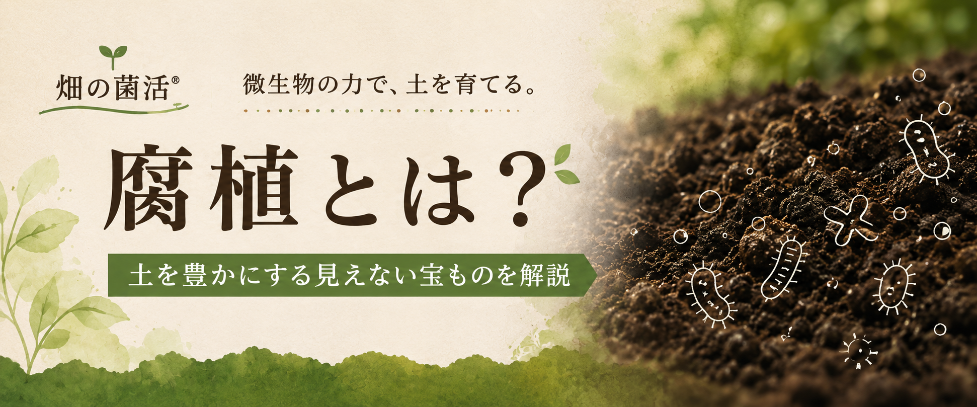 腐植とは何かを畑の菌活の考え方で解説する株式会社五光のブログ記事