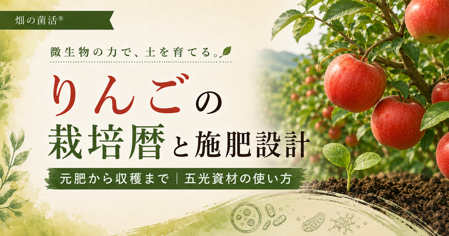 りんごの元肥、開花前、生育中から収穫までの施肥設計と五光資材の使い方を解説する記事