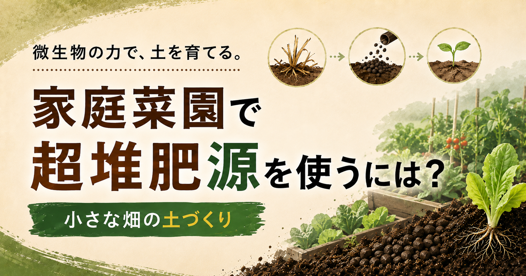 家庭菜園での超堆肥源の使い方と小さな畑の土づくりを解説する株式会社五光のブログ記事