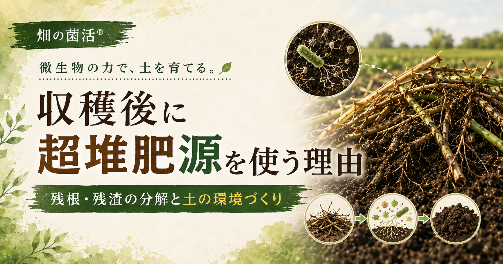 収穫後に超堆肥源を使う理由を残根・残渣の分解と土の環境づくりから解説する株式会社五光のブログ記事