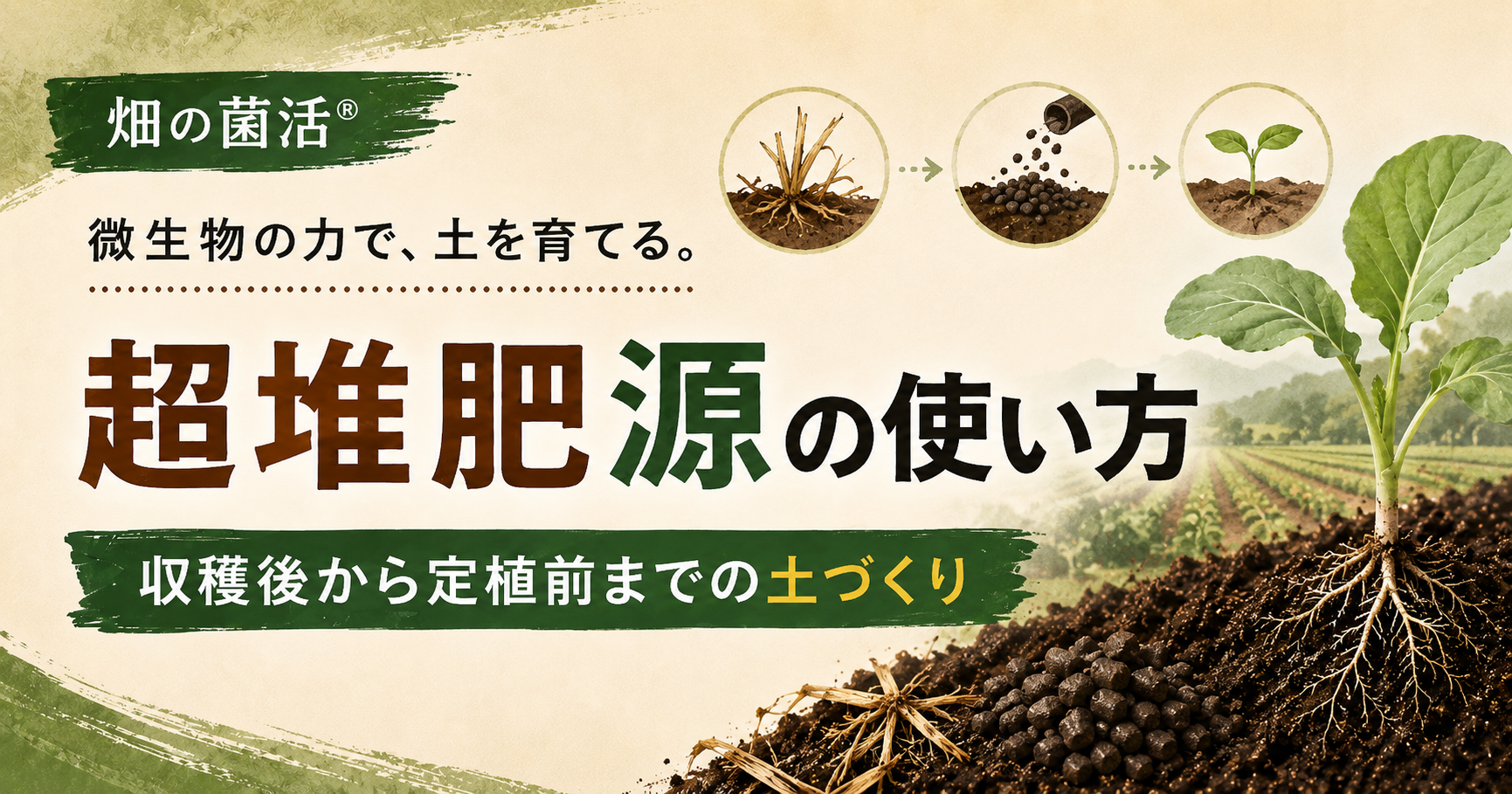 超堆肥源の使い方を収穫後から作付け前・定植前までの流れに沿って解説する株式会社五光のブログ記事